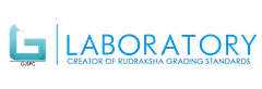GJSPC Laboratory