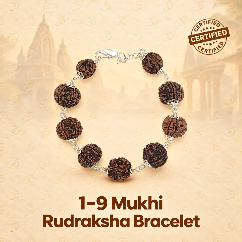 1-9 Mukhi Rudraksha Bracelet