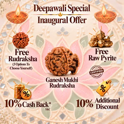 Natural Ganesh Mukhi Rudraksha - Nepal Origin (Medium Bead Size : 16-19 MM)