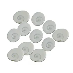 Gomti Chakra (PACK OF 12)