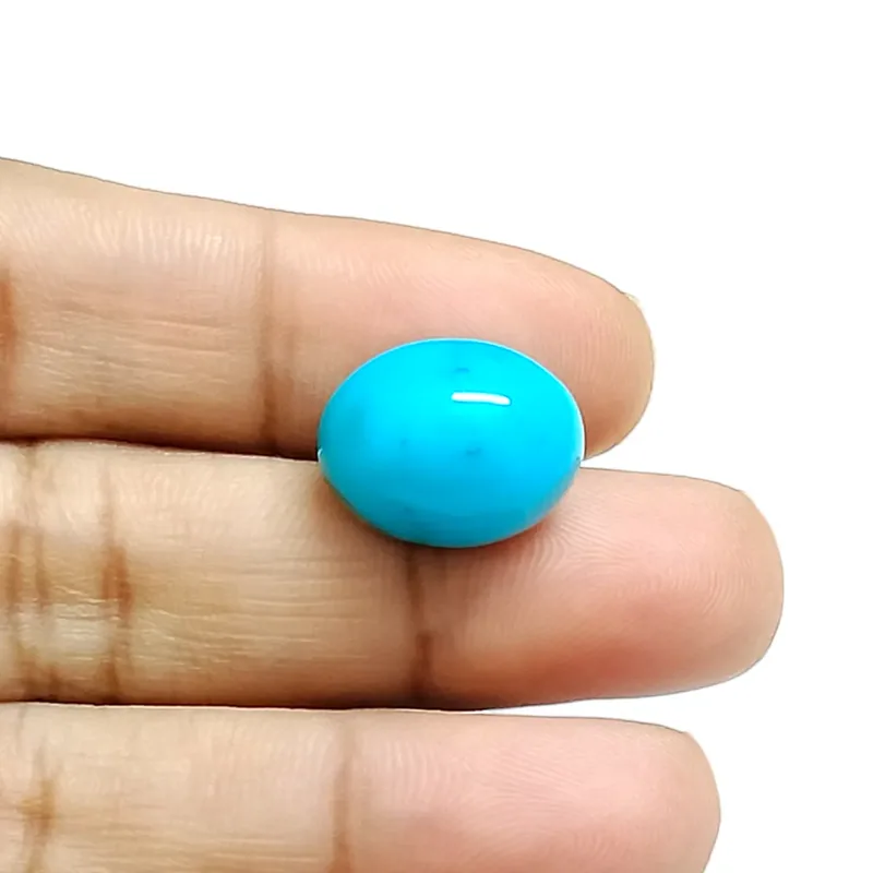 Irani Turquoise (Firoza)- 8.15 Carat (8.95 Ratti)-Origin-Iran