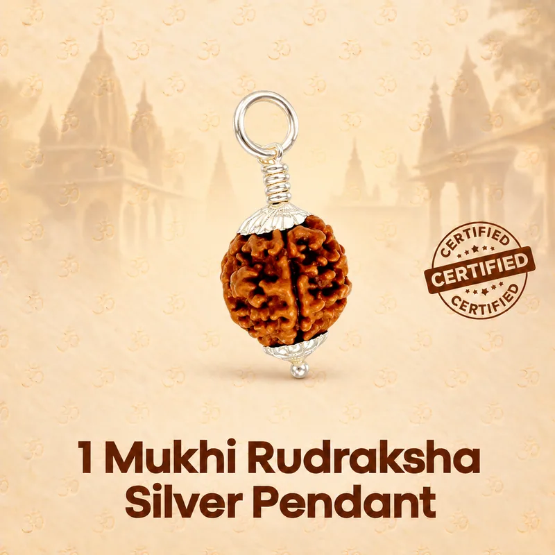 Natural 1 Mukhi Rudraksha in Silver Pendant-Nepal (Bead Size: 16-19 MM)