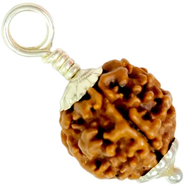 Natural 1 Mukhi Rudraksha in Silver Pendant-Nepal (Bead Size: 16-19 MM)