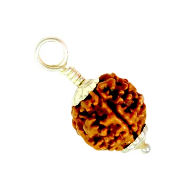 Natural 1 Mukhi Rudraksha in Silver Pendant-Nepal (Bead Size: 16-19 MM)