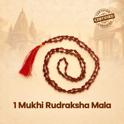 Natural 1 Mukhi Rudraksha Mala-Indonesia - 6-8 MM
