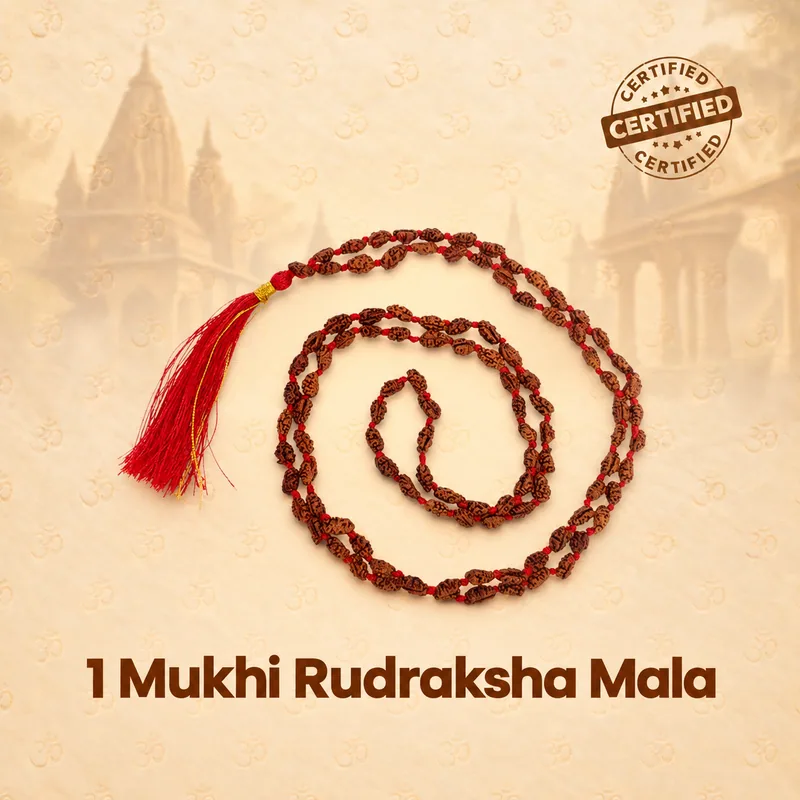 Natural 1 Mukhi Rudraksha Mala-Indonesia - 6-8 MM