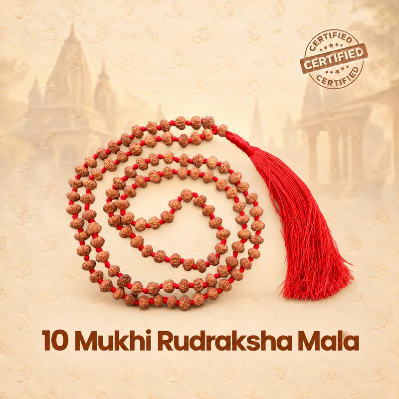 Natural 10 Mukhi Rudraksha Mala- Indonesia Origin (Bead Size : 7-10 MM)