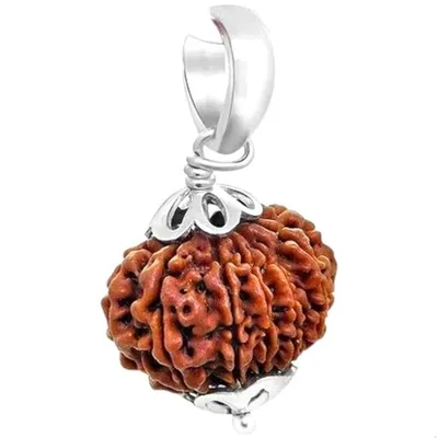 Natural 10 Mukhi Rudraksha Pendant in Silver - Nepal (Bead Size: 16-19 MM)