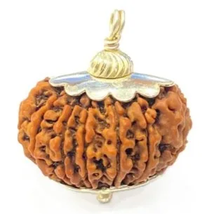 Natural 13 Mukhi Nepal Rudraksha Pendant in Pure Silver (Bead Size: 19-22 MM)