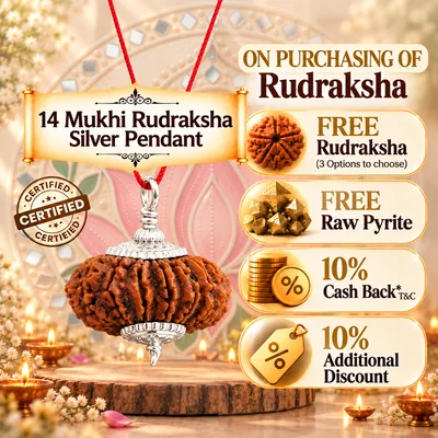 Natural 14 Mukhi Rudraksha in Pure Silver Pendant - Nepal Origin (Bead Size : 19-21 MM)