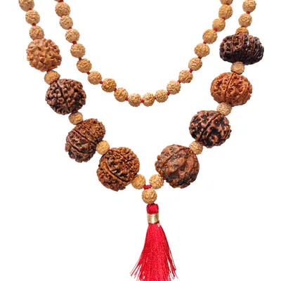 Natural 3,4,5,6,7,8,11,12 Mukhi Rudraksha Kavach Combination (Beads Size: 16-19 MM)
