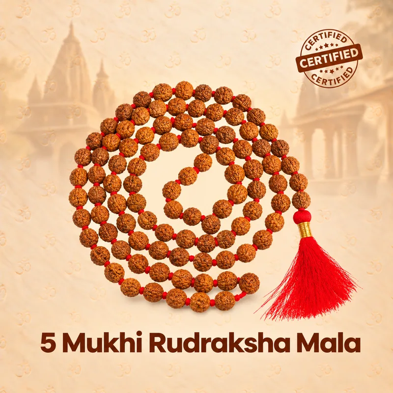 Natural 5 Mukhi Rudraksha Mala - Indonesia Origin (Bead Size : 6.5-7.5 MM)