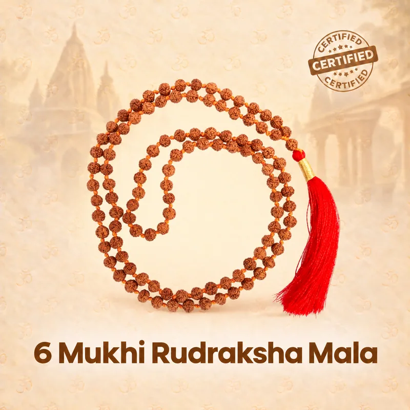 Natural 6 Mukhi Rudraksha Mala - Indonesia Origin (Bead Size : 7-8 MM)