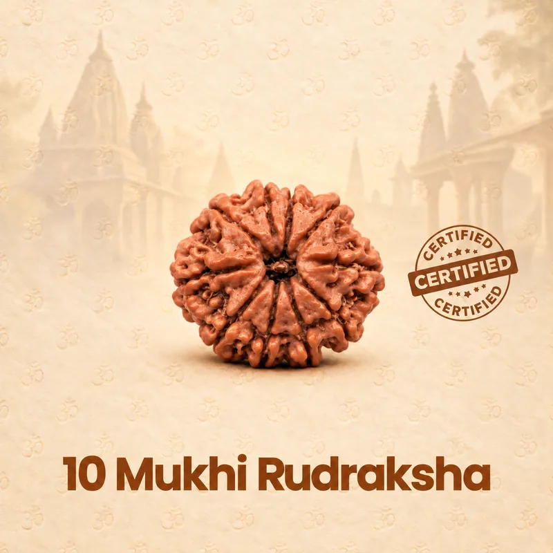 Natural 10 Mukhi Rudraksha - Nepal Origin (Big Bead Size : 19-21 MM)