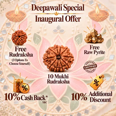 Natural 10 Mukhi Rudraksha - Nepal Origin (Big Bead Size : 19-21 MM)