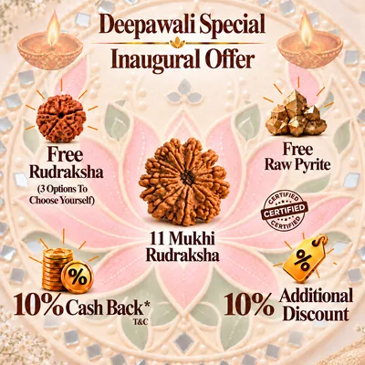 Natural 11 Mukhi Rudraksha - Nepal Origin (Medium Bead Size : 16-19 MM)