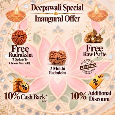 Natural  2 Mukhi Rudraksha - Nepal Origin (Medium Bead Size : 16-19 MM)