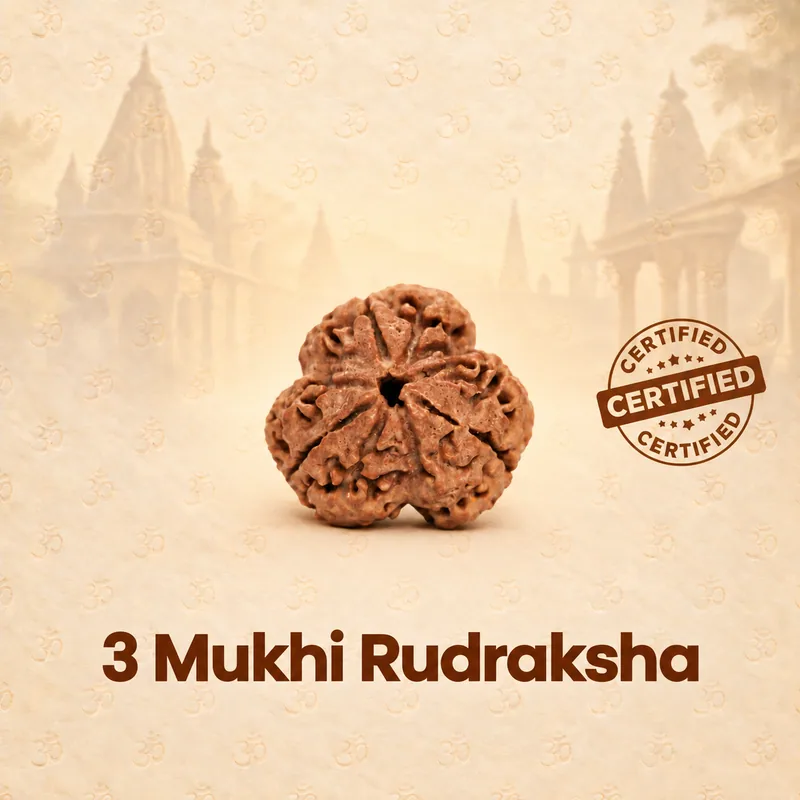 Natural Certified 3 Mukhi Rudraksha - Nepal Origin (Big Bead Size : 19-21 MM)