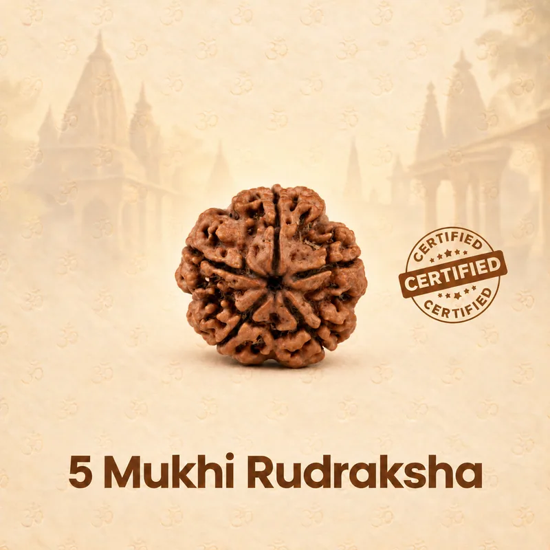 Natural 5 Mukhi Rudraksha - Nepal Origin (Medium Bead Size : 16-19 MM)