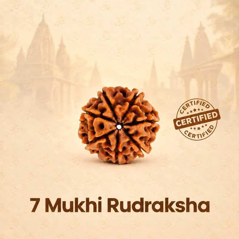 Natural 7 Mukhi Rudraksha - Nepal Origin (Medium Bead Size : 16-19 MM)