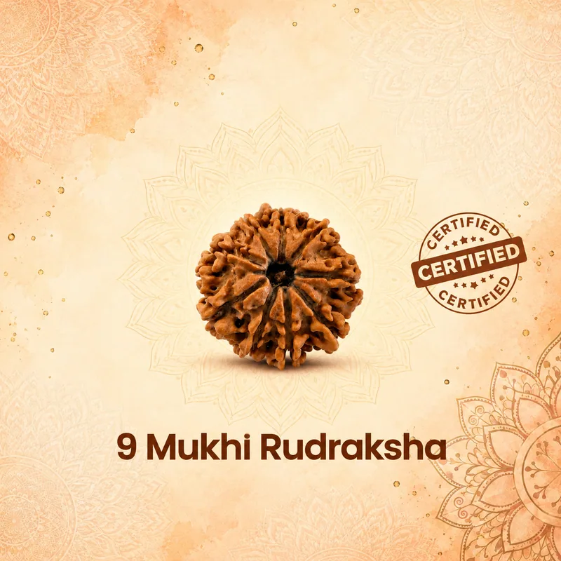 Natural Certified 9 Mukhi Rudraksha - Origin: Nepal (Size:16-19 MM) (medium)