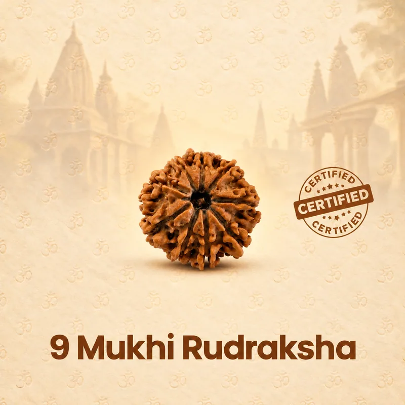 Natural 9 Mukhi Rudraksha - Nepal Origin (Medium Bead Size : 16-19 MM)