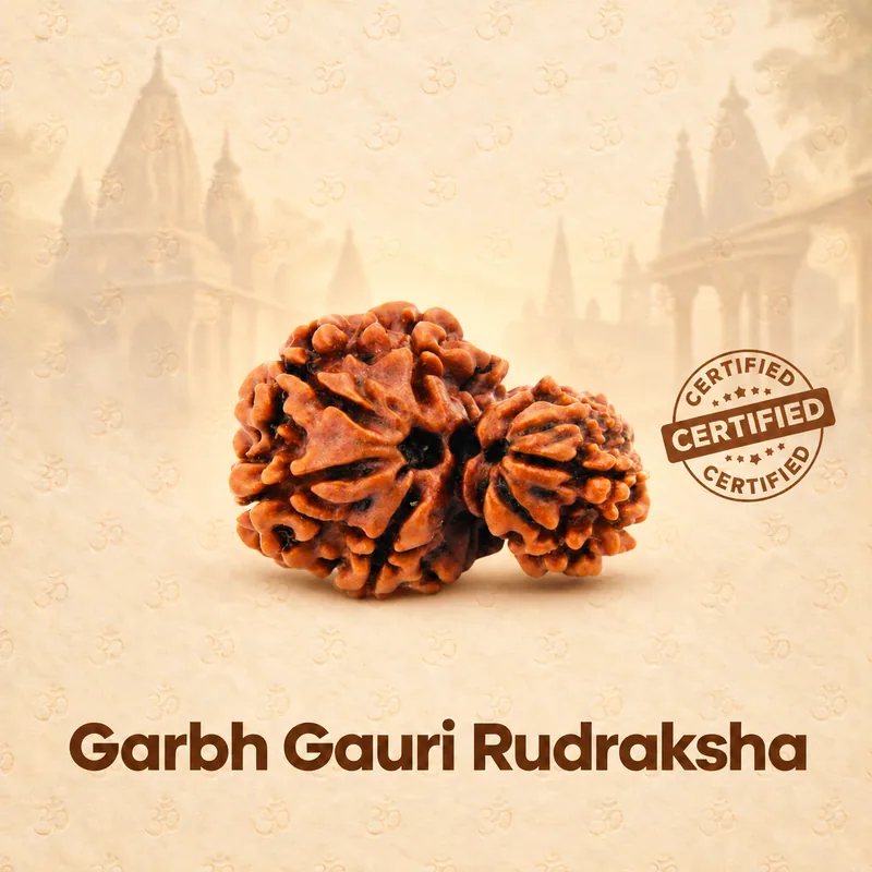 Natural Garbh Gauri Rudraksha - Nepal Origin  (Big Bead Size : 19-21 MM)