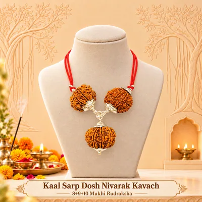 Natural Kaal Sarp Dosh Nivarak Kavach-8+9+10 Mukhi Rudraksha Combination (Beads Size: 16-19 MM)