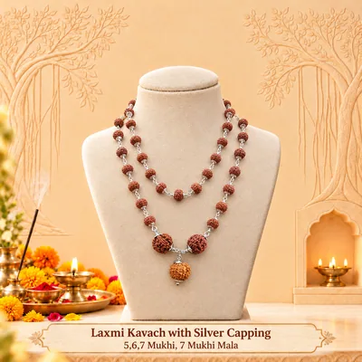 Natural Laxmi Kavach with Silver Capping (5,6,7M Beads Size: 16-19 MM and 7M Mala 6-8 MM)