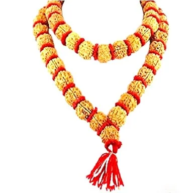 Natural Rudraksha Mala: Kantha Mala