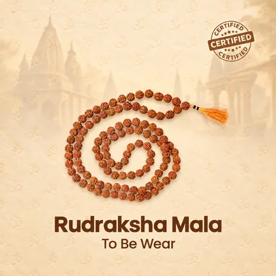 Natural Rudraksha Mala (To be Wear) (Beads Size: 6-7 MM)