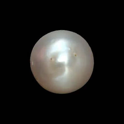 South Sea Pearl (Moti) - 6.09 Carat (6.69 Ratti)