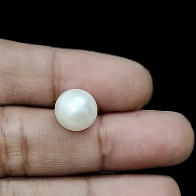 South Sea Pearl (Moti) - 6.15 Carat (6.76 Ratti)
