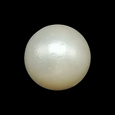 South Sea Pearl (Moti) - 6.22 Carat (6.84 Ratti)