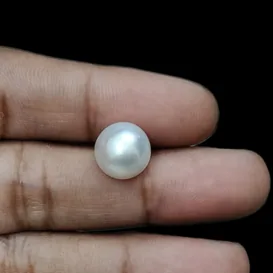 South Sea Pearl (Moti) - 6.47 Carat (7.11 Ratti)