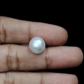 South Sea Pearl (Moti) - 6.47 Carat (7.11 Ratti)