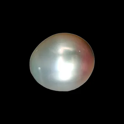South Sea Pearl (Moti) - 6.47 Carat (7.11 Ratti)