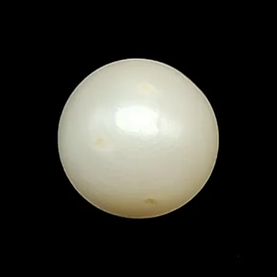 South Sea Pearl (Moti) - 7.0 Carat ( 7.69 Ratti)