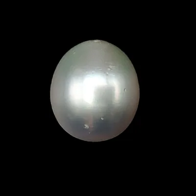 South Sea Pearl (Moti) - 7.09 Carat (7.79 Ratti)