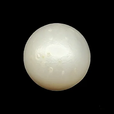 South Sea Pearl (Moti) - 8.3 Carat (9.12 Ratti)