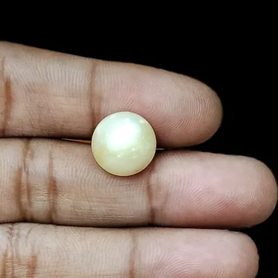 South Sea Pearl (Moti) - 9.76 Carat (10.73 Ratti)