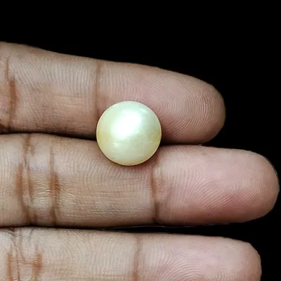 South Sea Pearl (Moti) - 9.76 Carat (10.73 Ratti)